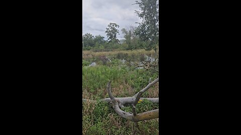 The Flooding Presents Safety Issues