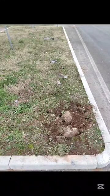 che succede a Magenta?