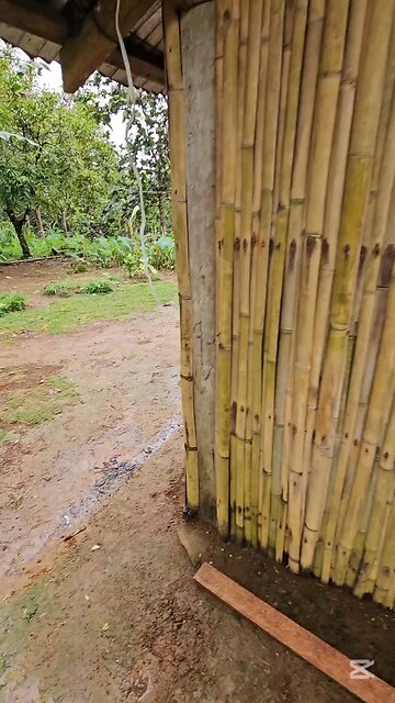 Kerbe Finally Decided To Plant Coconut With Us COLONIA DIVINA 커비가 코코넛을 심기로 겨우 결정랬다