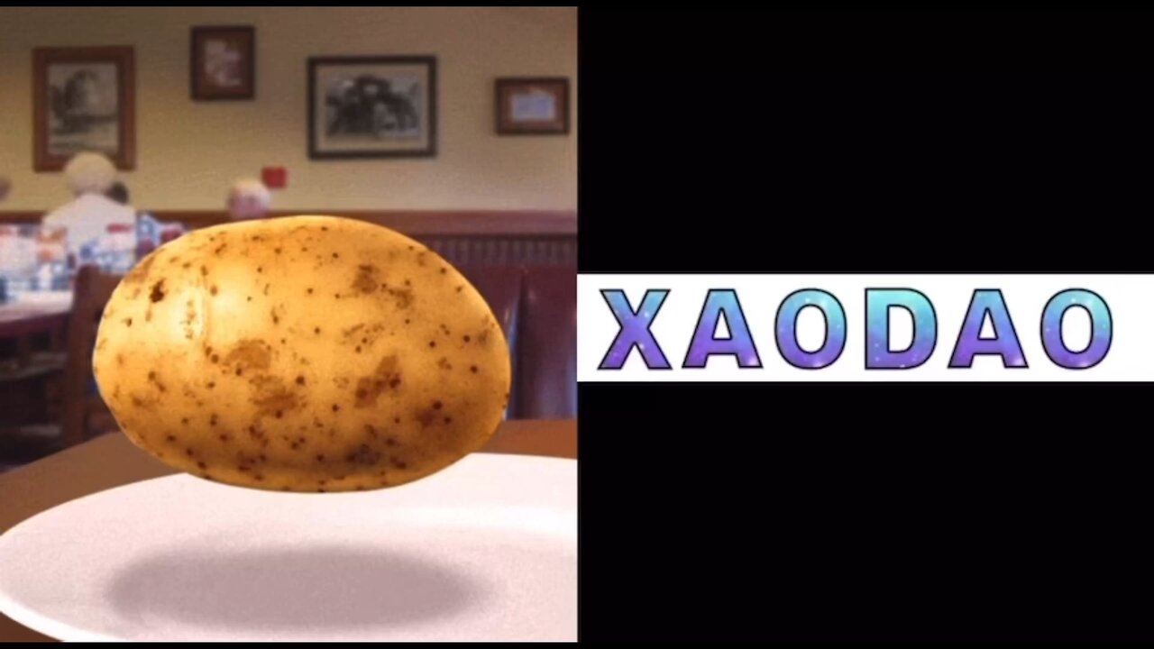 #XAODAO #MrPotatosHouse 08/06/25