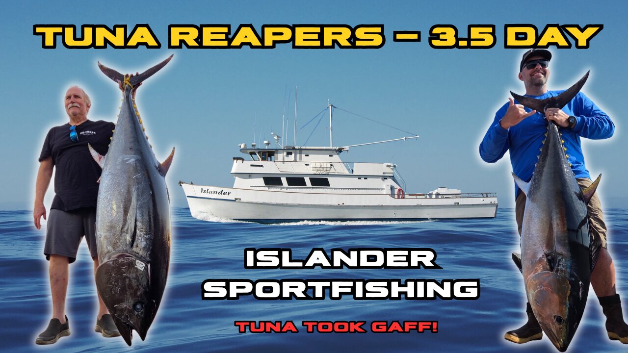 Epic tuna battles - Tuna Reapers 3.5 day