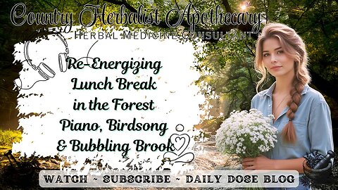 Re-Energizing Lunch Break in the Forest - Piano, Birdsong & Bubbling Brook - Relax Meditate