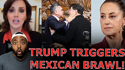 Mexico Senate BREAKS OUT INTO BRAWL Over 'TRAITOR' BEGGING Trump To Deploy Military To Fight Cartels