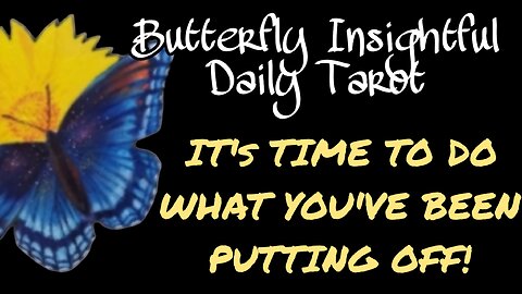Butterfly Insightful Daily Tarot - Just beeping do it!