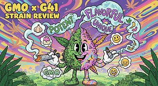 GMO X G41 from JK DISTRO