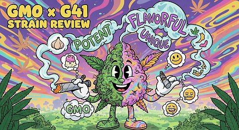 GMO X G41 from JK DISTRO | Vibing with JK Distro THCA – Honest Review & Thoughts