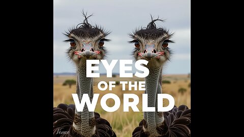 Canada Orders MASS CULL of 400 Ostriches Over Bird Flu Outbreak - SHARE WITH EVERYONE! 