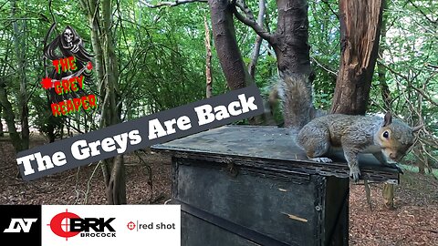 DNT Thermnight 225 The Grey Squirrels are back