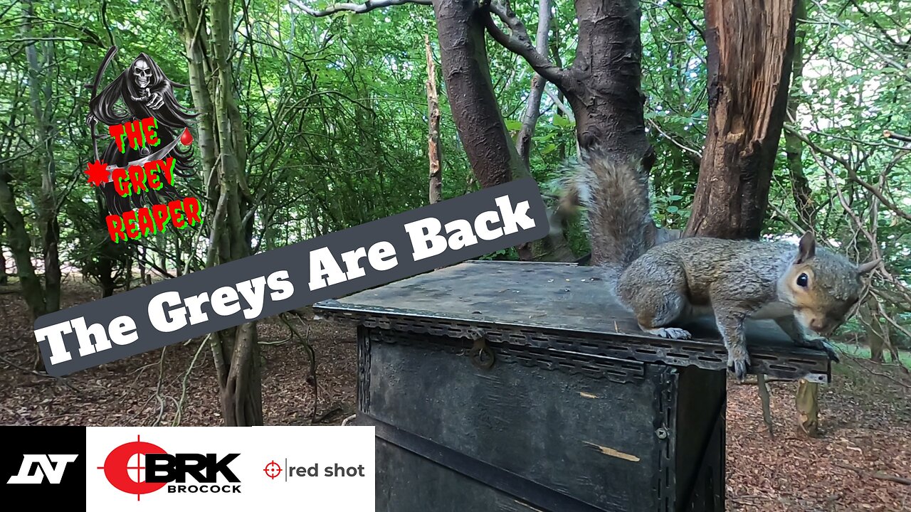 DNT Thermnight 225 The Grey Squirrels are back