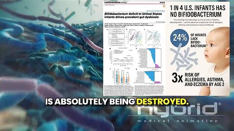 25% of U.S Infants Have ZERO Bifidobacteria a keystone gut microbe critical for healthy development