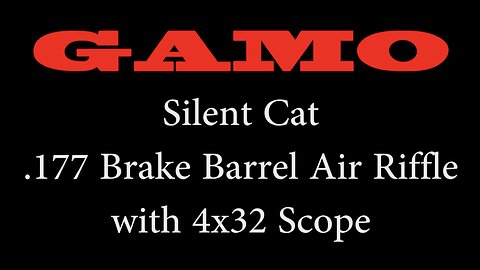 Gamo Silent Cat Air Rifle review