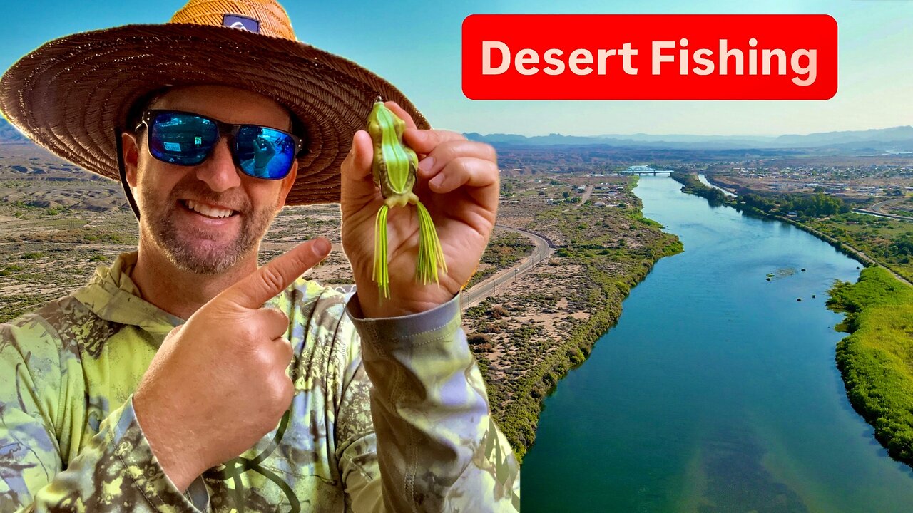 Epic Frog Bite in Arizona