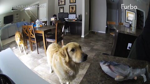POV: Mom Left Your Toy on the Counter…