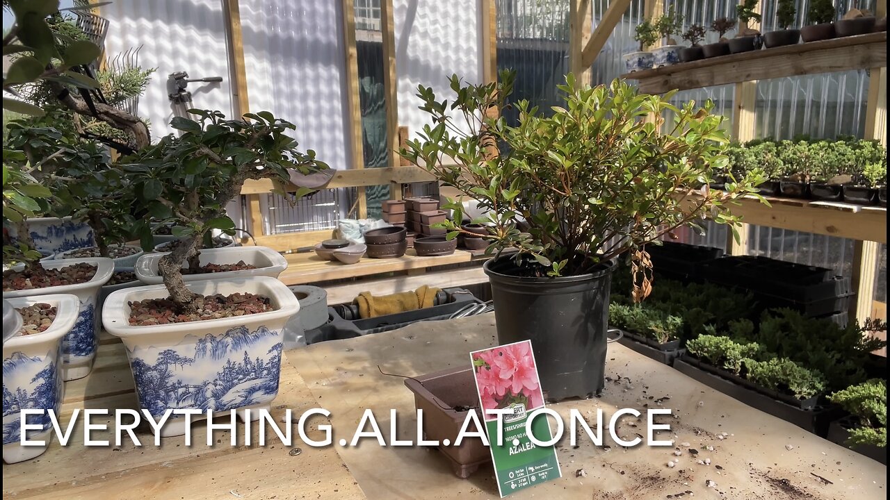 Everything All At Once