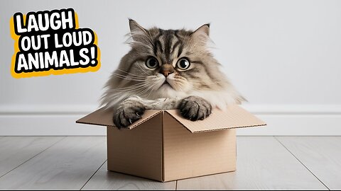 funny animals 2025
