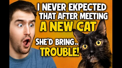 My New Cat Brings TOTAL Chaos Into My House