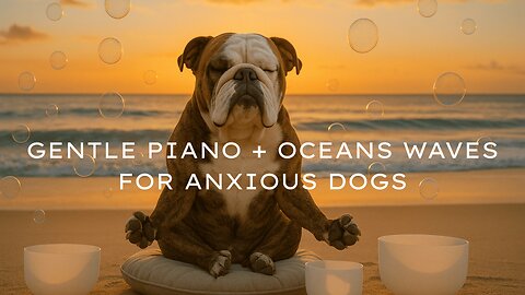 Calming Music for Dogs with Anxiety | Relaxing Beach Waves & Gentle Piano for Stress Relief