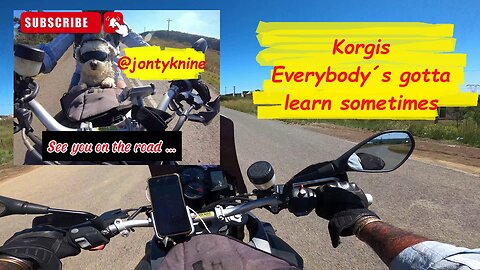 Korgis - Everybody´s gotta learn sometimes #bikerdog #music #kzn