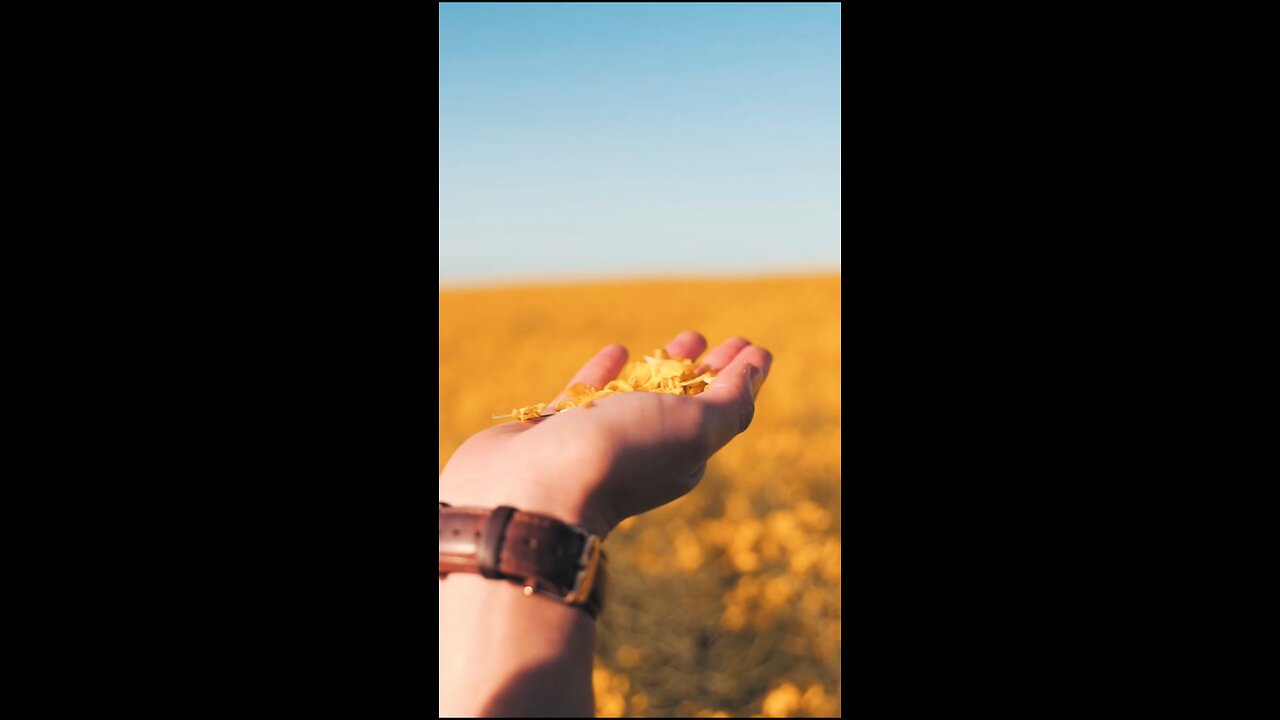 Daily Verse April 19th 2025