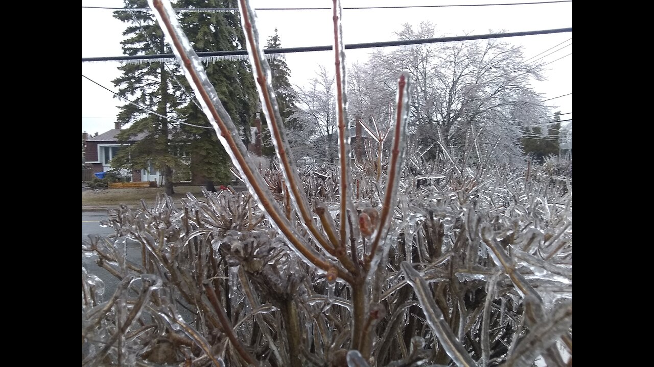 just chatting random crap Ice storm 98
