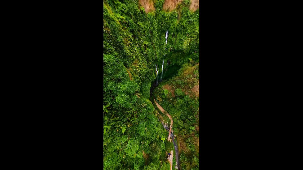 Amazing place in Amazon 🌎