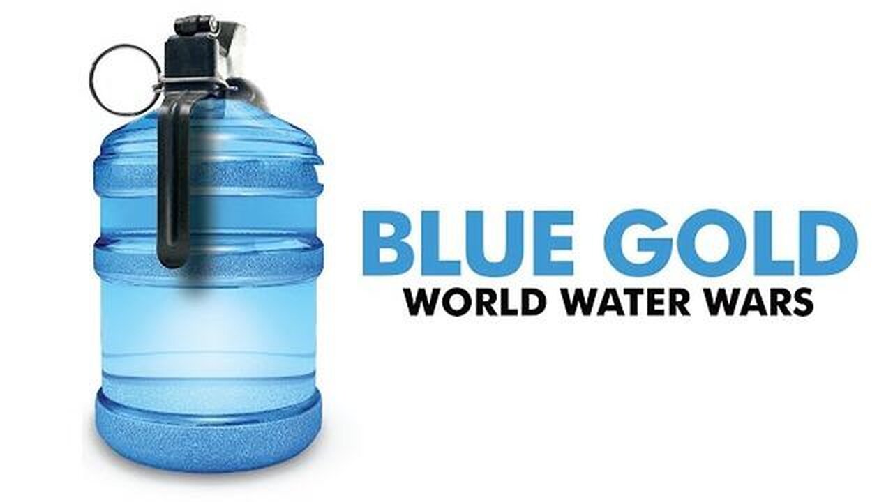 Blue Gold: World Water Wars (2008)