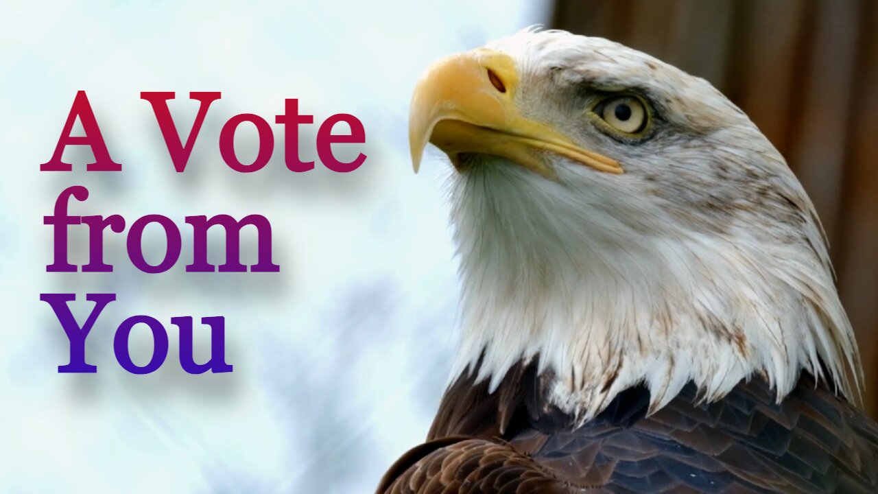A Vote from You - Jt's Song of the Week 2025-05-14