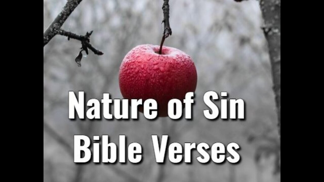 The sin nature