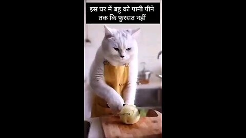 satisfying Video