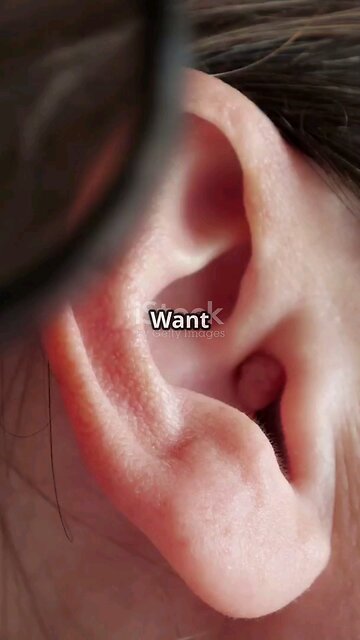 The Smallest Bone in Your Body Is the Size of a Grain of Rice! 🦴