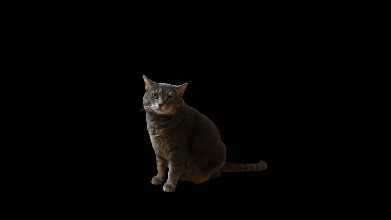 What's the vibe? | Schedule 1 | Borderlands 2 | Halo 3 Later!!! | God is good!