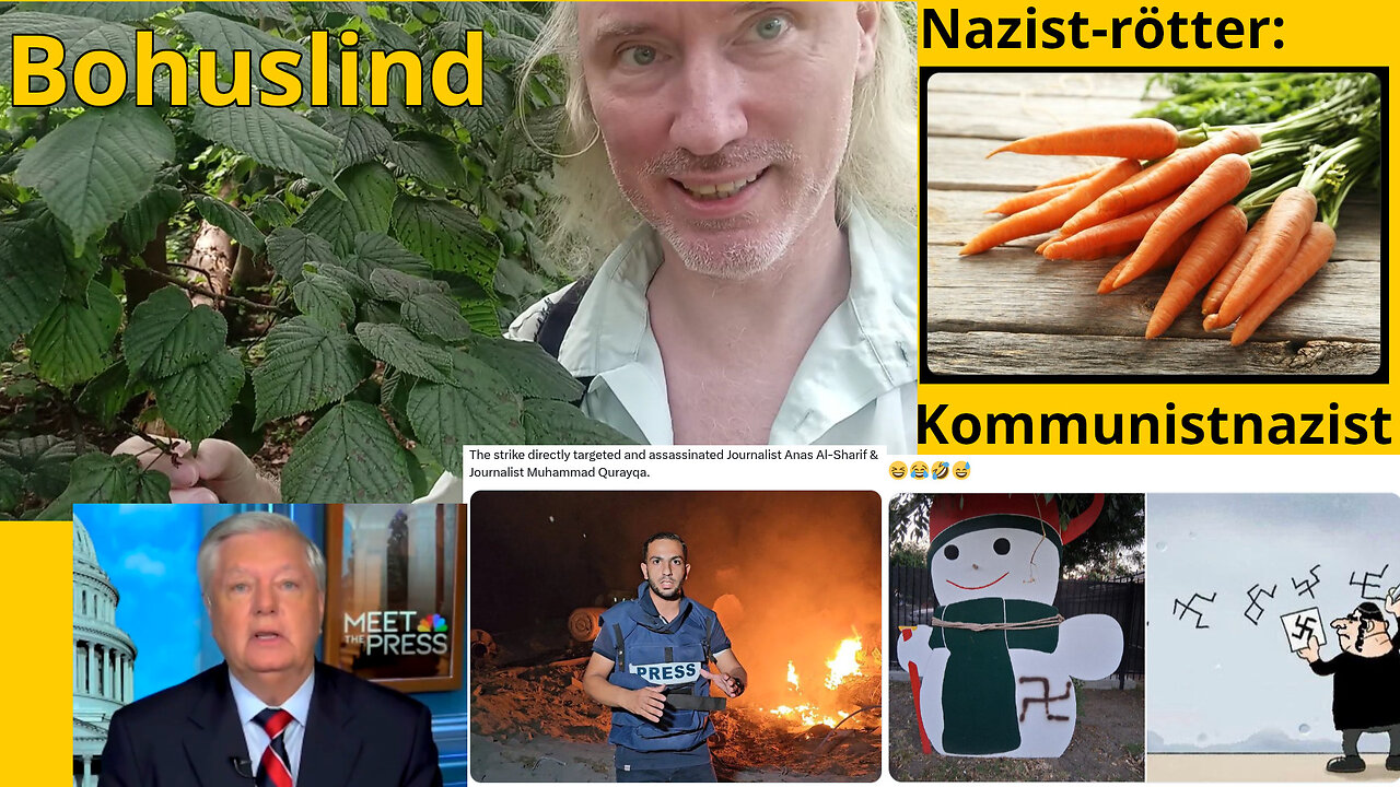 Herr Måne. Grok blev galen. AI-begravning. Trans-Pelosi. Sjuka USA-barn. EU vill och vill inte prata