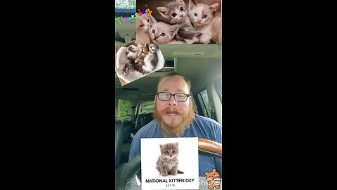 Thursday. Teddy bears and kittens.