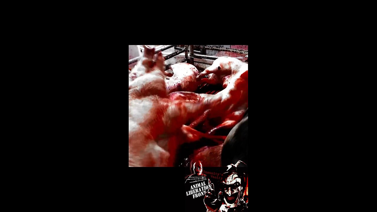 Fxck Slaughterhouse Workers - & Anyone Who Supports Them Fxck You Too