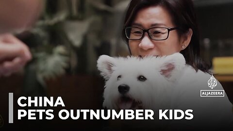 China_s booming pet industry_ Pets are set to outnumber toddlers in just five years