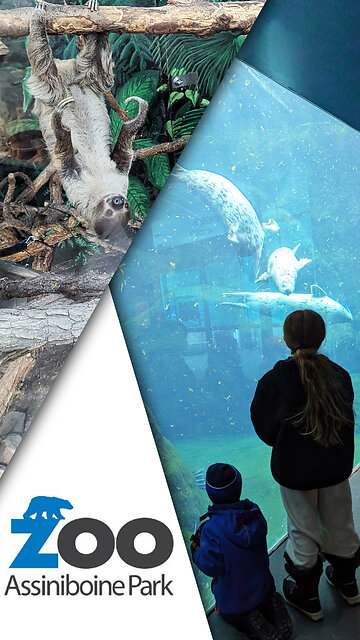 Why We Love Assiniboine Park Zoo!