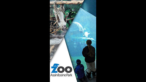 Why We Love Assiniboine Park Zoo!