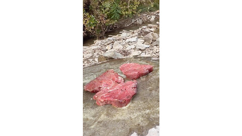 Doğal taş üzerinde Lokum Bonfile🥩 Tenderlion cook on stone with nature🌲🔥