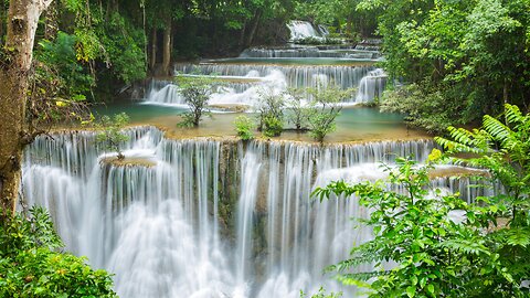 Relaxing Zen Music with Water Sounds • Peaceful Ambience for Spa, Yoga and Relaxation