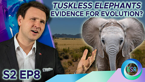 Tuskless Elephants Evidence for Evolution? | Genesis Science Report S02 EP008