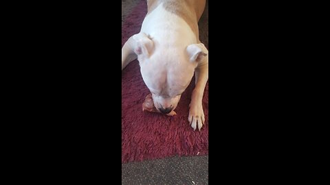 Nora wants to bite the hand that feeds