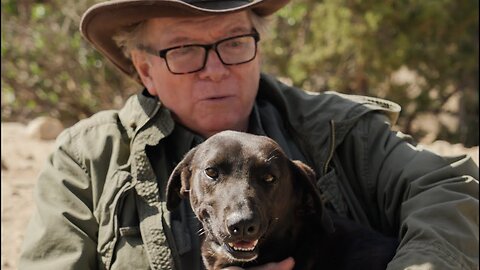 Watch the joy of two abandoned dogs realizing they are safe and loved now.