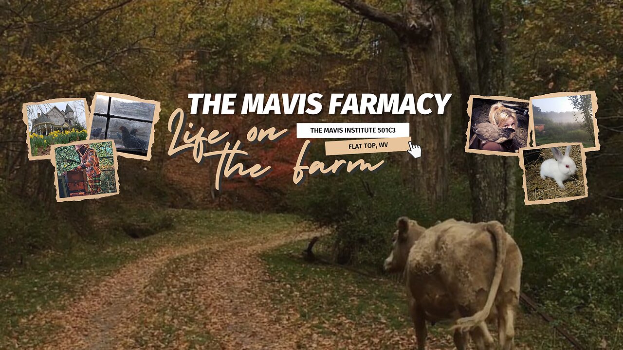 🌿 Slow Living Stream | Appalachian Permaculture, Farm Animals & Alan Watts | WV 501c3