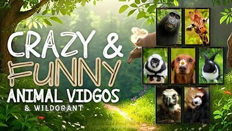 Funniest Animals Moments Ever Caught on Camera ep-15