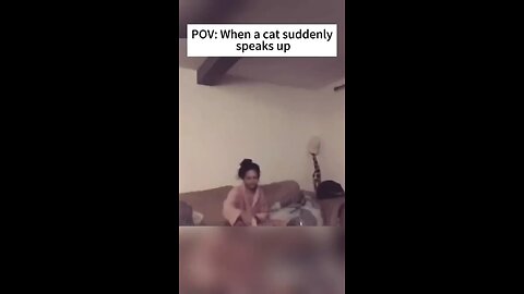 talking cat