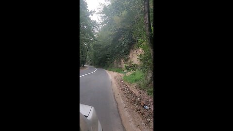 فرار به دنیای سبز: جاده‌هایی که روح را تازه می‌کنند**