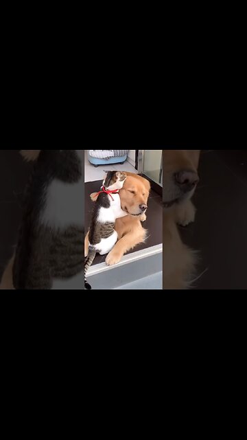 Long time no see, my friend