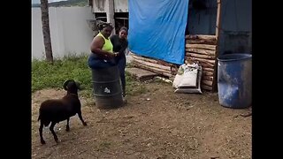Don't Be Gettin' All Up In His Barrel