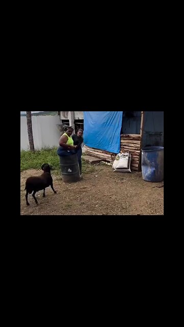 Don't Be Gettin' All Up In His Barrel