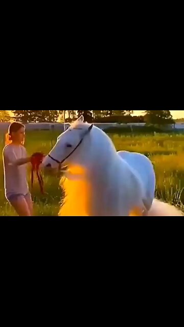 ACCOUNTABILITY IS SCRIPTURAL - DAILY DEVOTIONAL ❤️